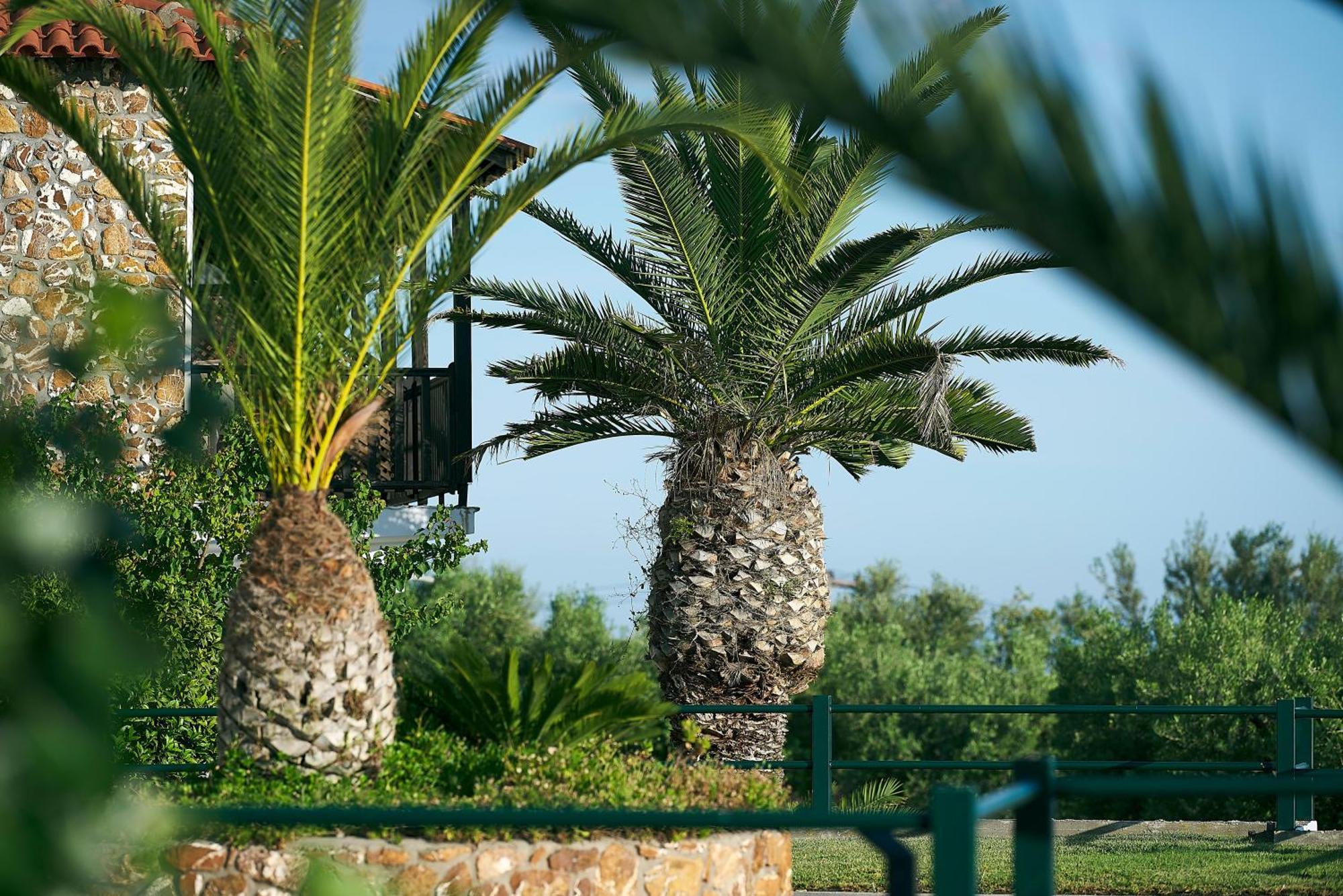 Glavas Inn Hotel Gerakini Exterior photo